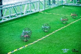 Bin兑现约定，请全队吃大餐，花费7000元