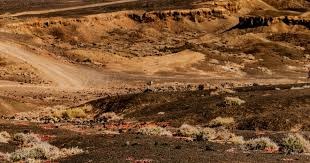 洛杉矶道奇推出“大谷翔平 2025 冠军纪念勋章”，每枚勋章均附带唯一的数字加密验证